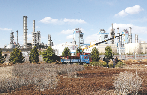 历史比分数据图表